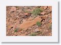 08ColoradoRiverDiscovery 034
